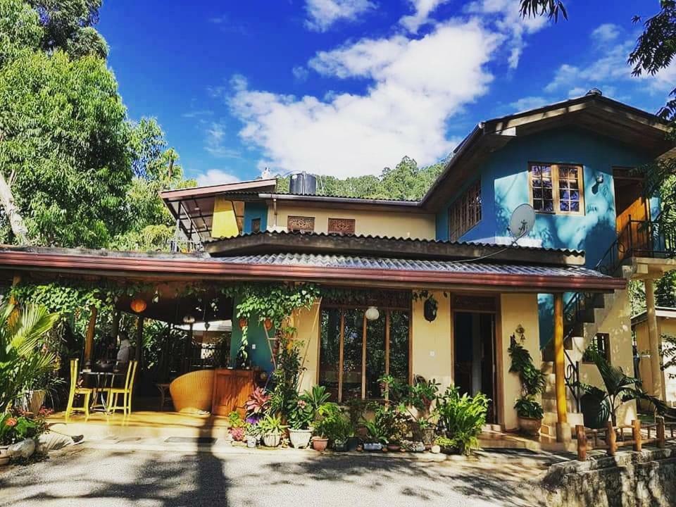 Waterfalls Homestay Ella Εξωτερικό φωτογραφία