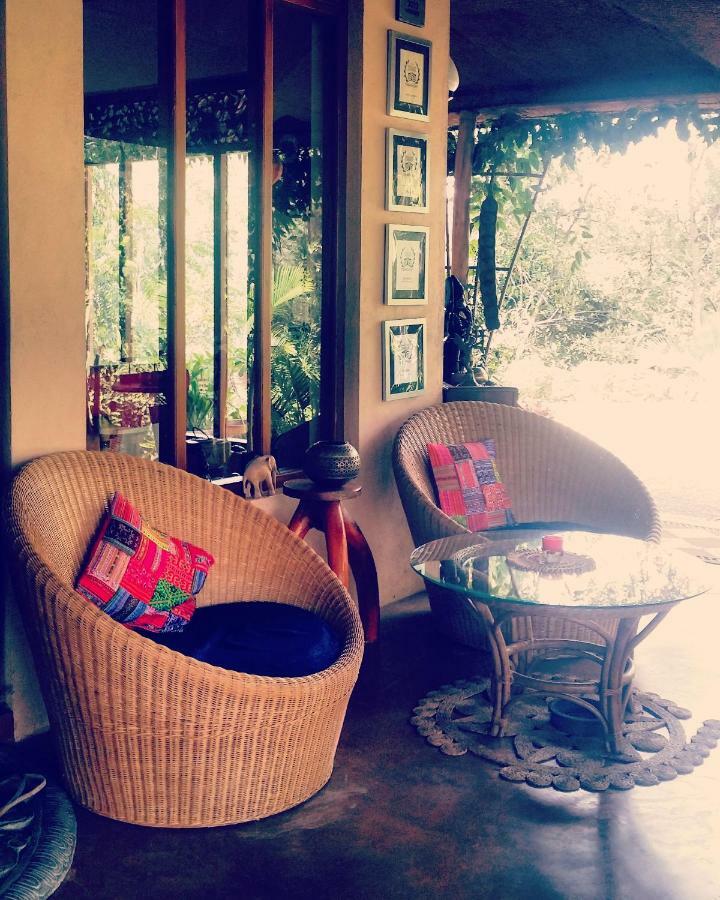 Waterfalls Homestay Ella Εξωτερικό φωτογραφία