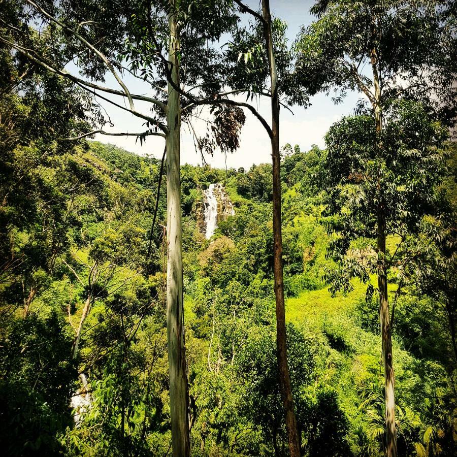 Waterfalls Homestay Ella Εξωτερικό φωτογραφία