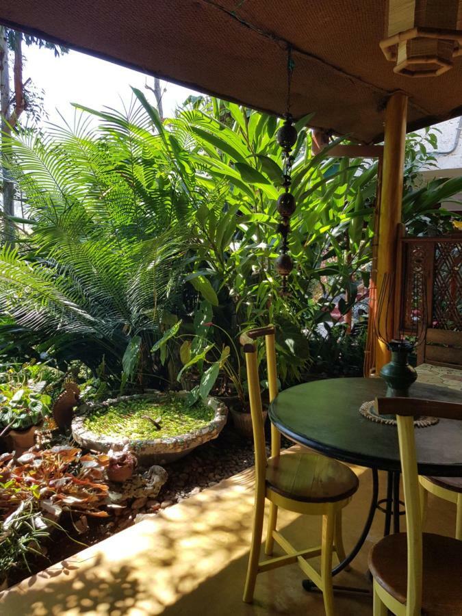 Waterfalls Homestay Ella Εξωτερικό φωτογραφία